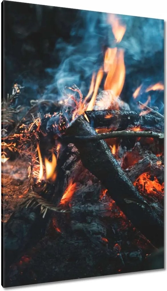Vászonkép 80x120 Tűz az éjszakában az erdőben