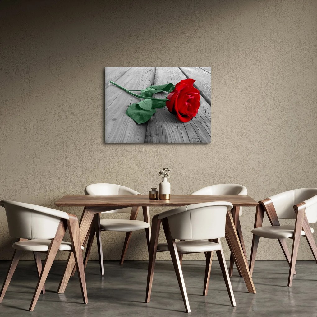 Kép - Piros rózsa zöld szárral (70x50 cm)