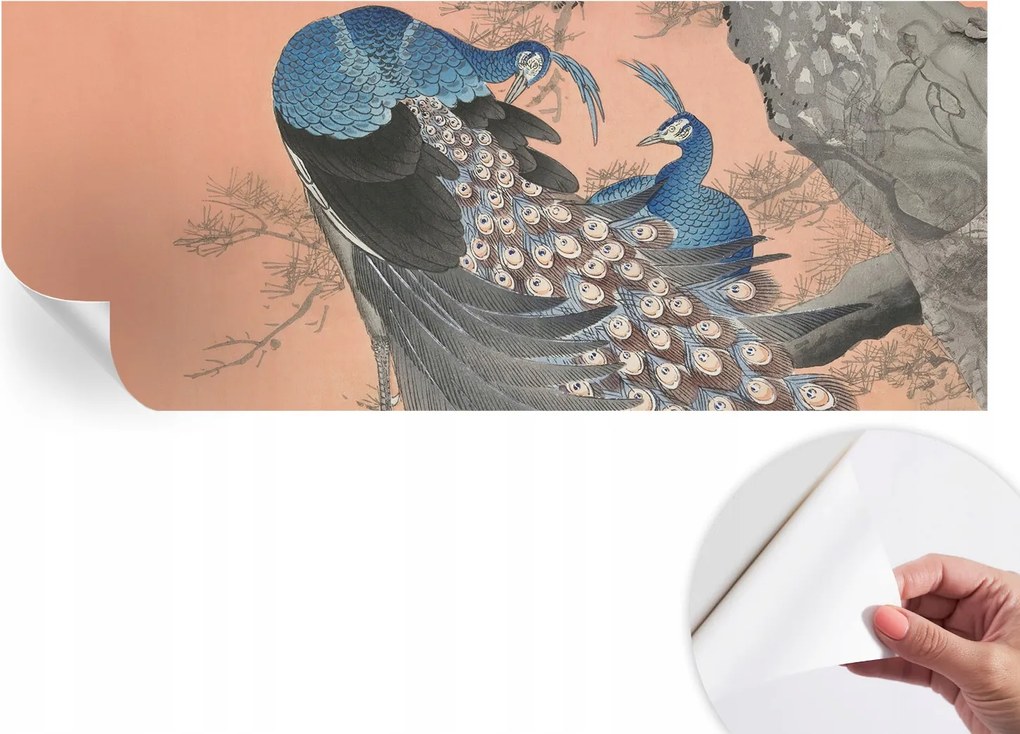 Dekoratív öntapadós fotótapéta páva elegancia 250x104 cm