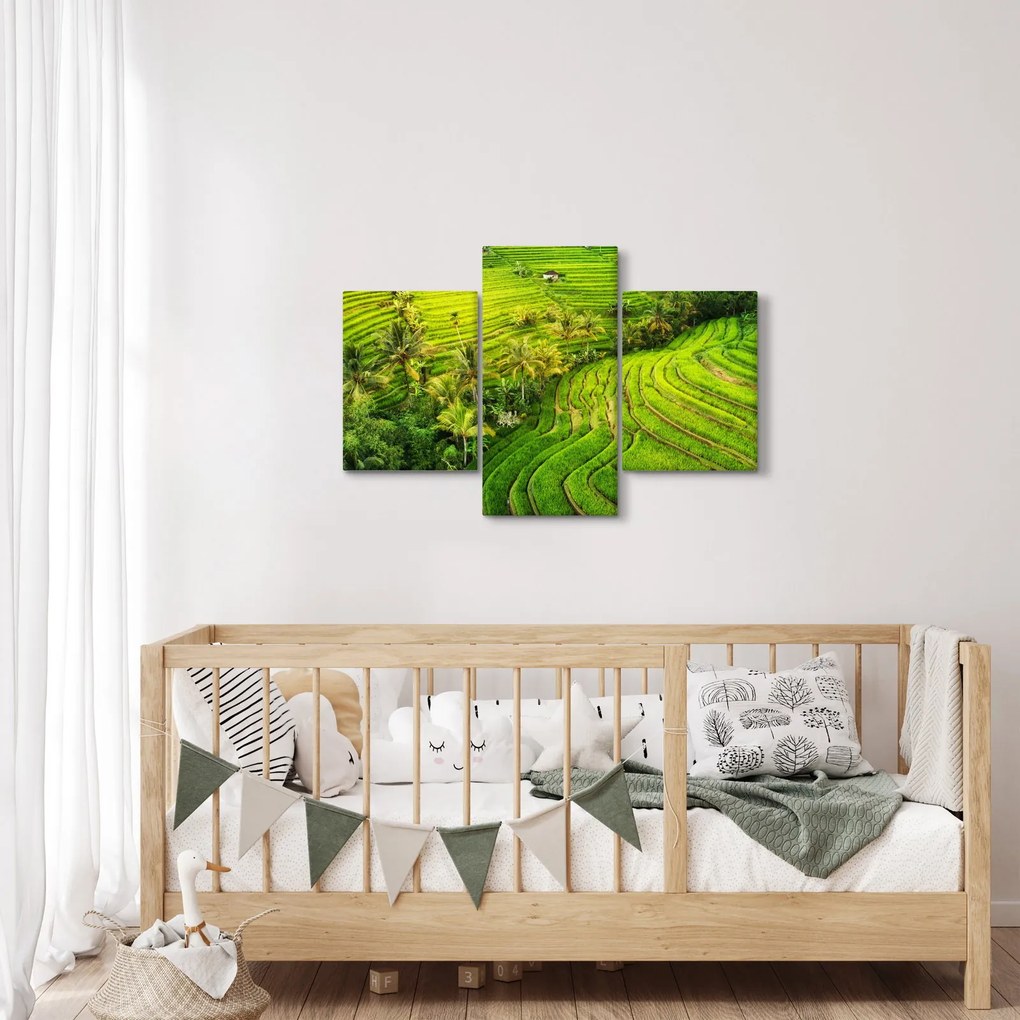 Kép - Rizs teraszok (90x60 cm)