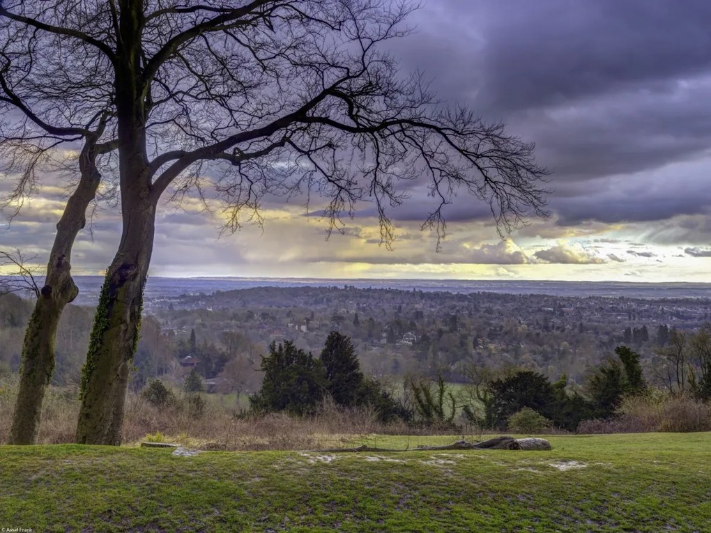 Poszter 40x30cm Reigate Hill 2, Assaf Frank