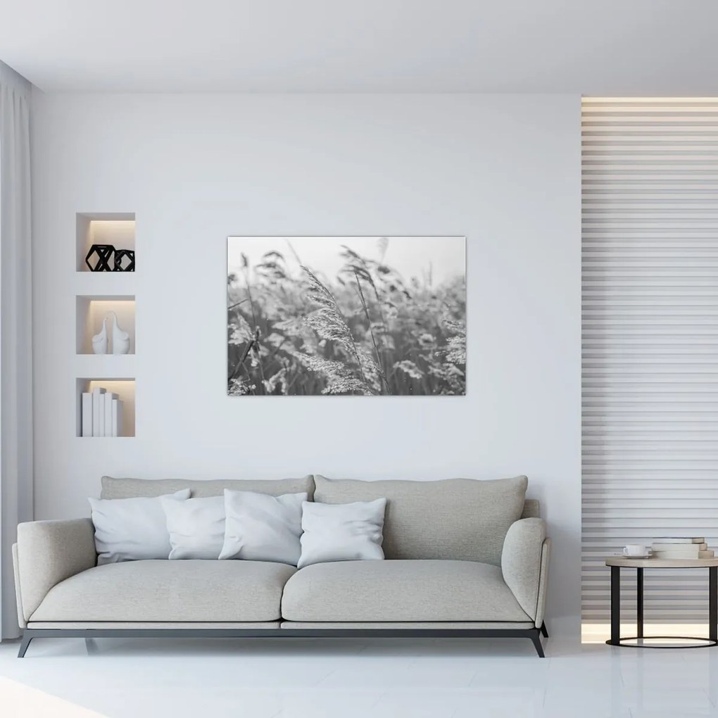 Kép - Fű a szélben (90x60 cm)