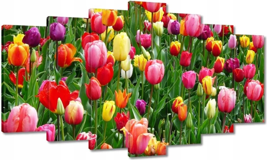 Vászonkép 140x80 Színes tulipánok a réten