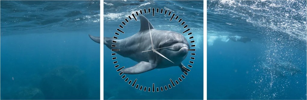 Kép - Delfin a felszín alatt (órával) (90x30 cm)