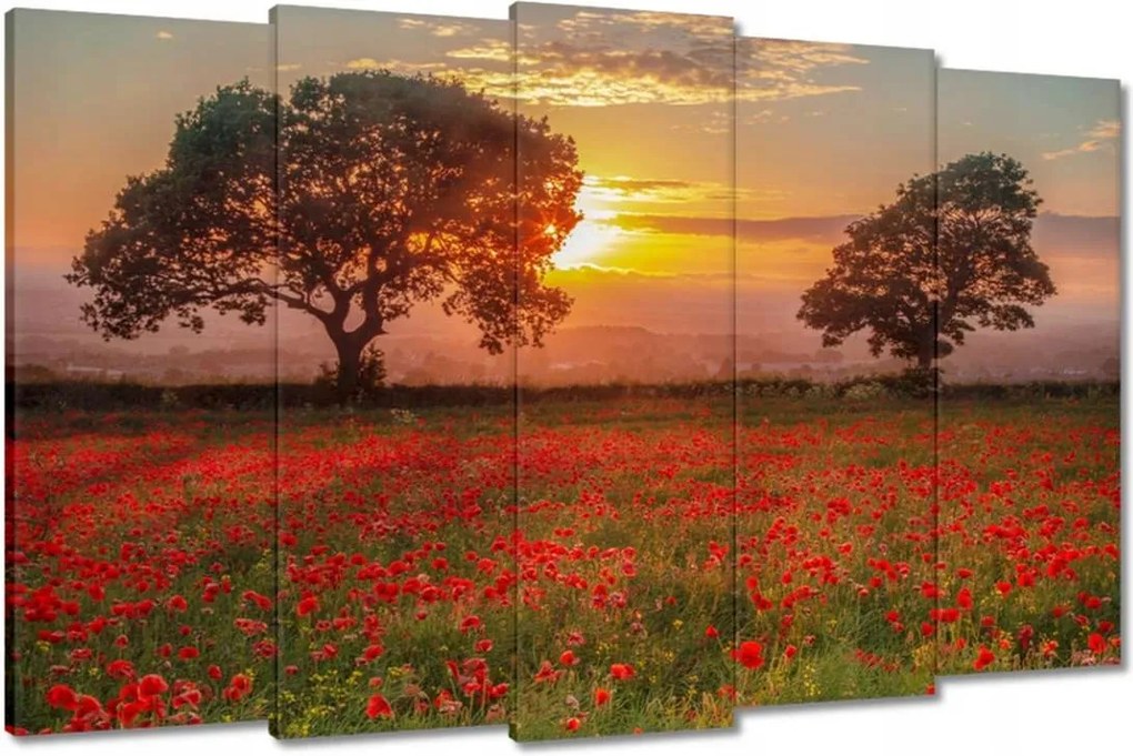 Vászonkép 150x95 Pipacsok a mezőn Tájkép