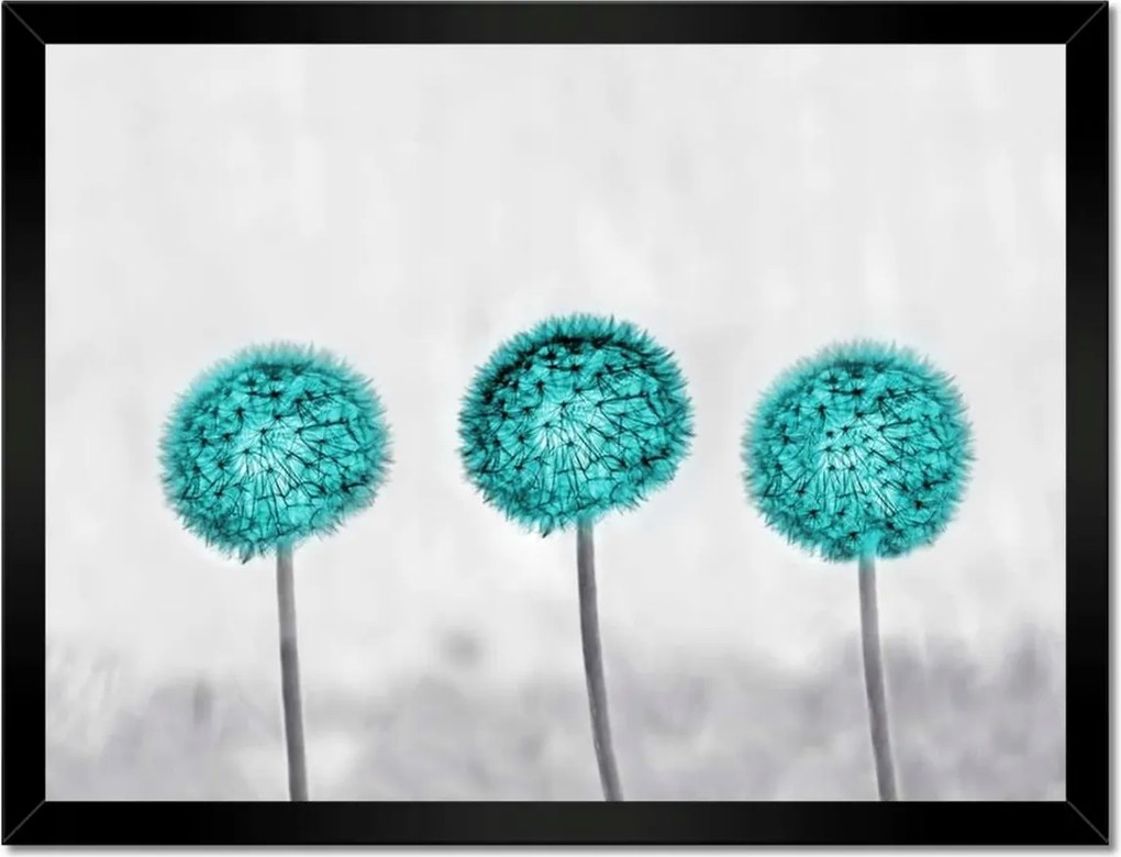 Poszterek keretben 40x30 Türkiz pitypang virág