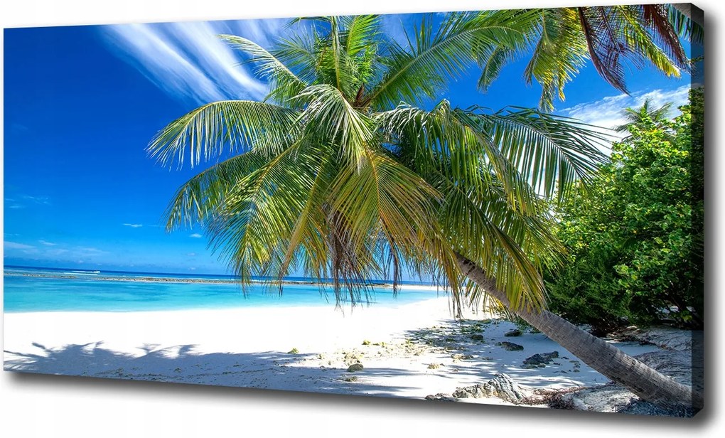 Vászonkép Trópusi tengerpart 100x70 cm