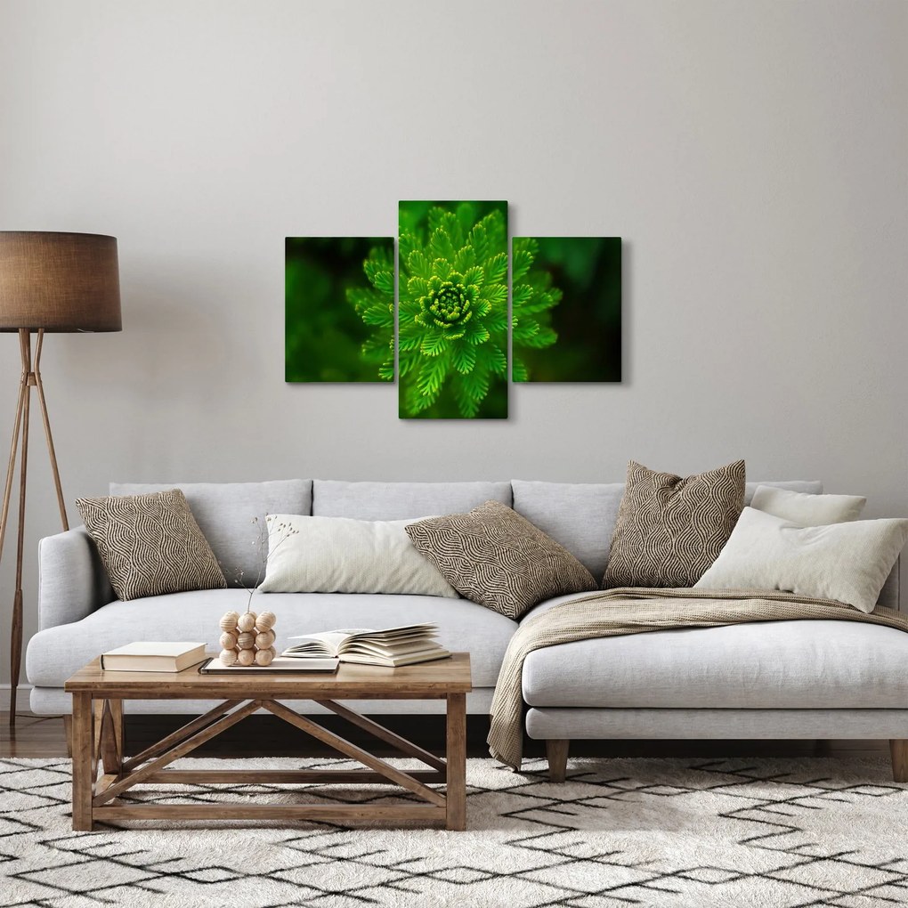 Tűlevelű képé (90x60 cm)