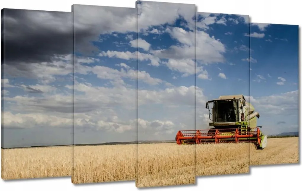 Képek 100x60 Kombájn az aratás során