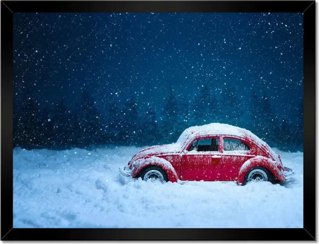 Poszterek keretben 40x30 Bogár