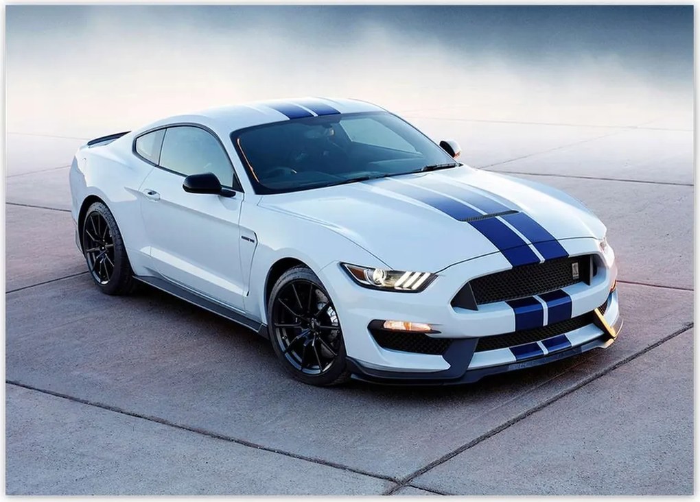 Poszterek 70x50 Ford Mustang Shelby