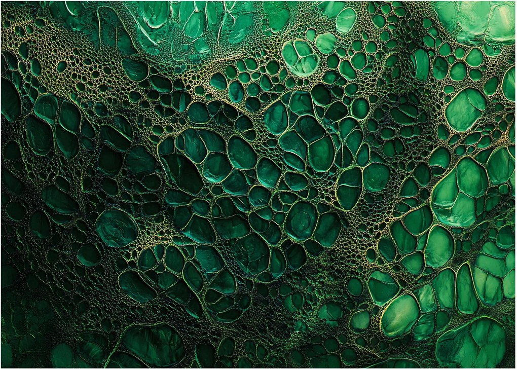 Kép - Zöld mikroszkópos kép (70x50 cm)