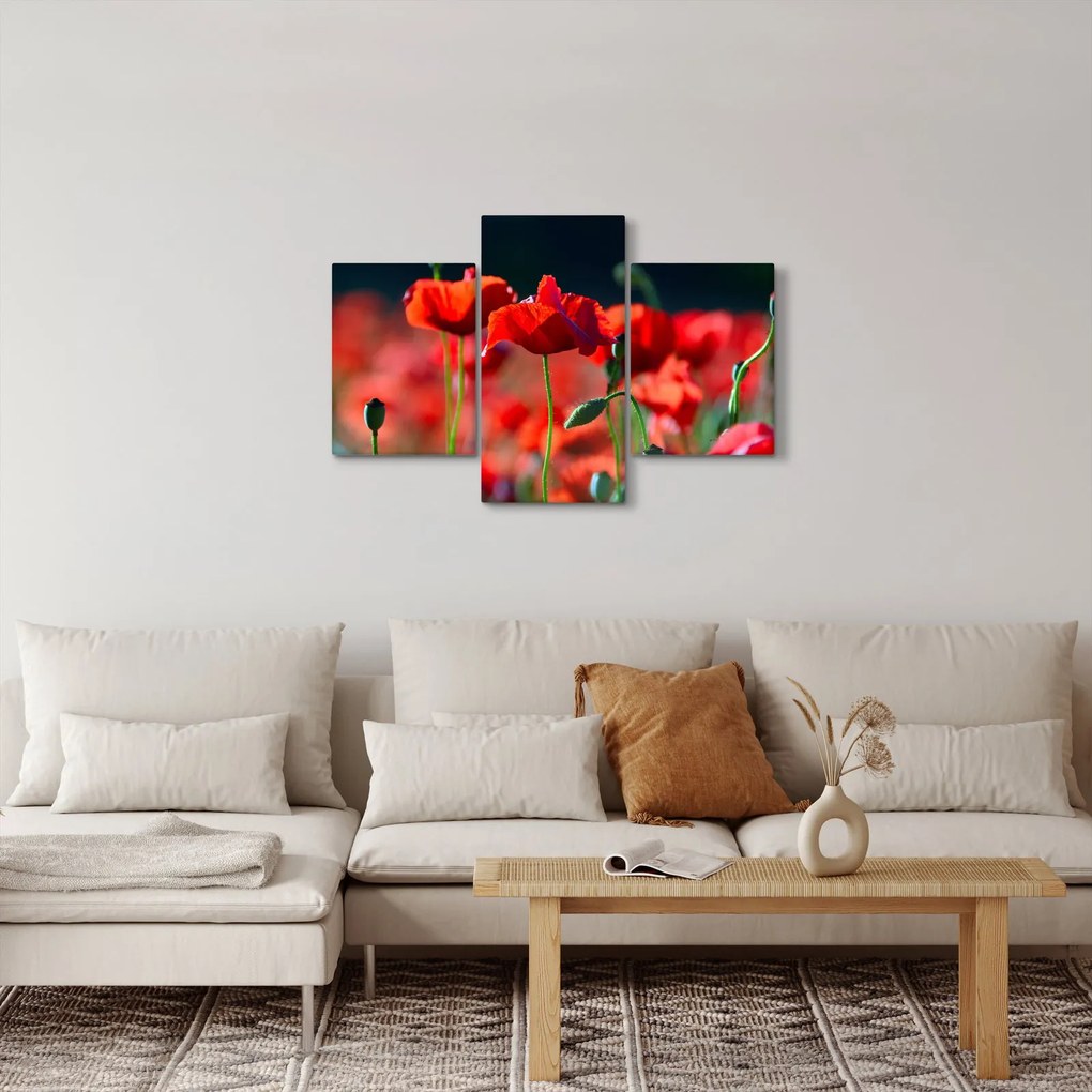 Kép - pipacsok (90x60 cm)