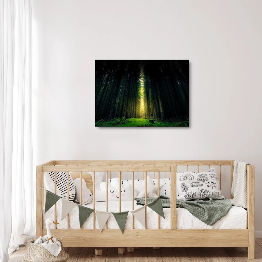Sötét erdő képe (üvegen) (70x50 cm)