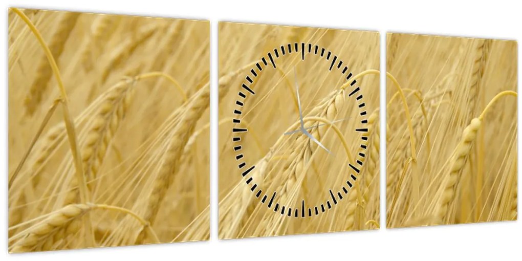 Kép - Árpa (órával) (90x30 cm)