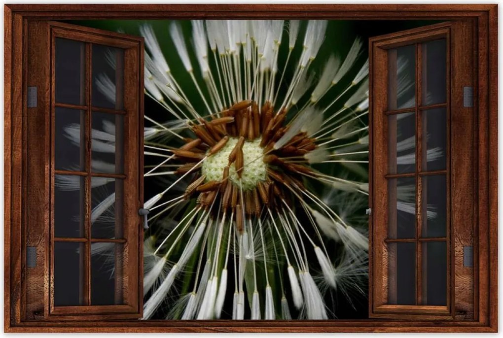 Poszterek 120x80 Pitypang Virág Virágok