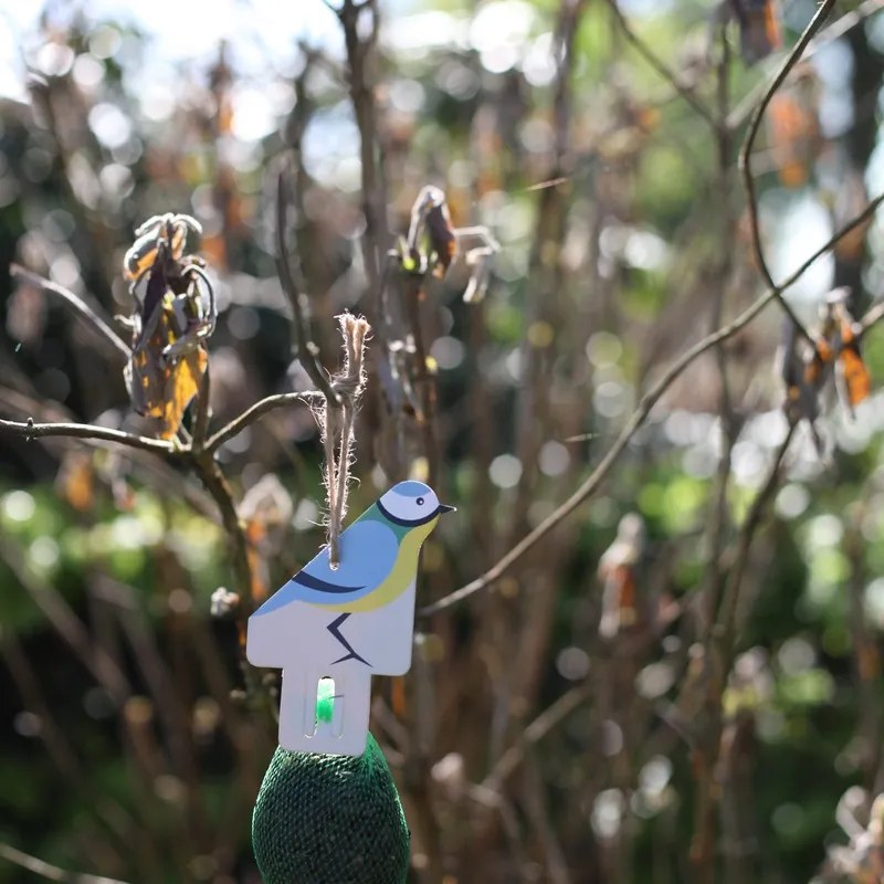 Felakasztható madár mintás madáretető, napraforgó maggal, 20 cm, D