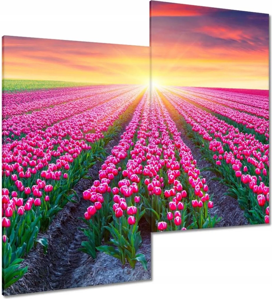 Vászonkép 60x60 Tulipánok tengere Virágok