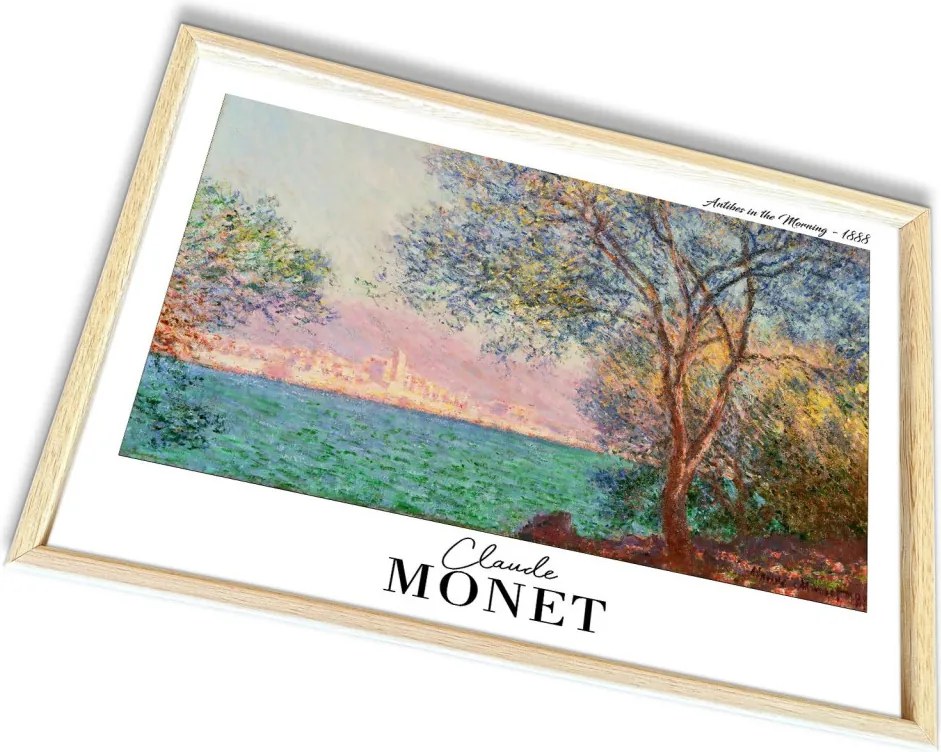4262AHSMONET-001