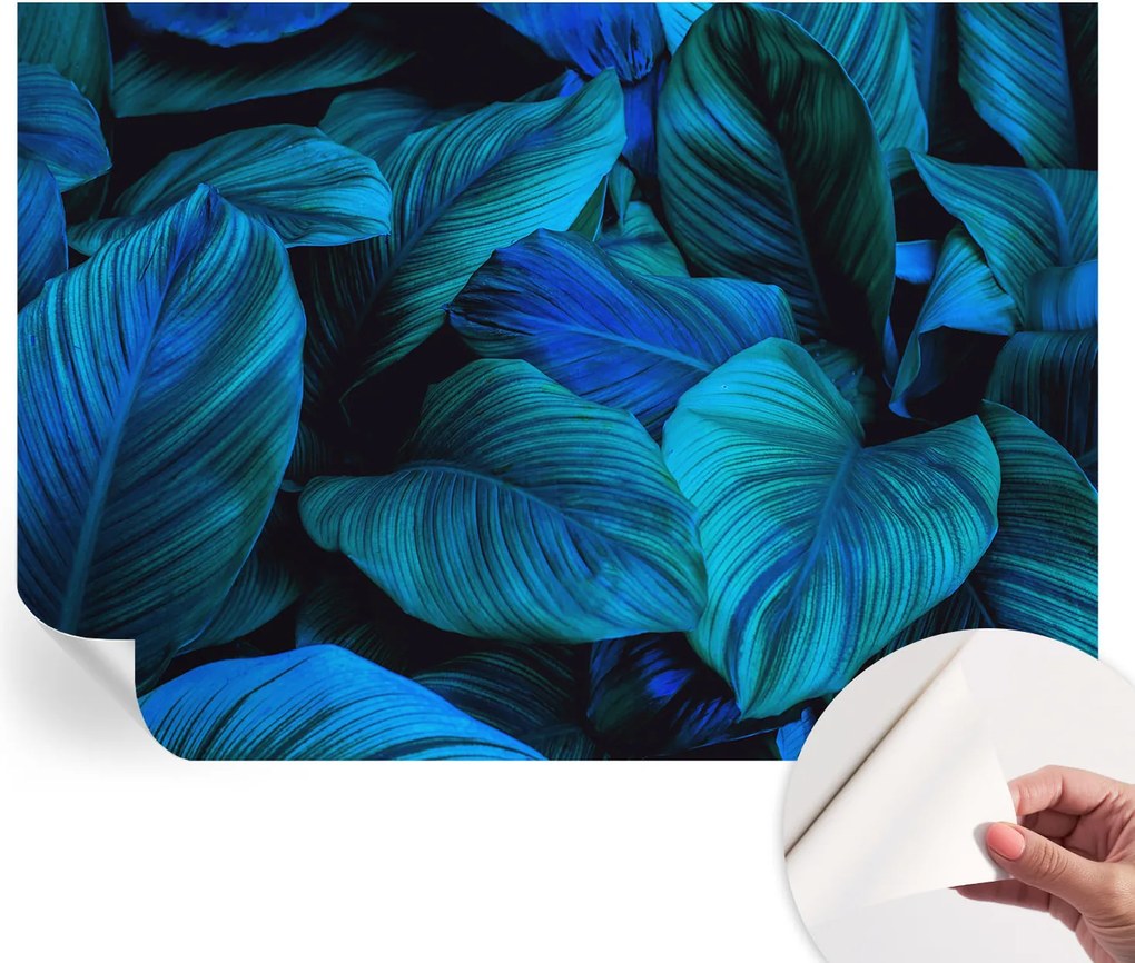 Dekoratív Öntapadós Tapéta Divatos Minták Kék levelek 208x146 cm