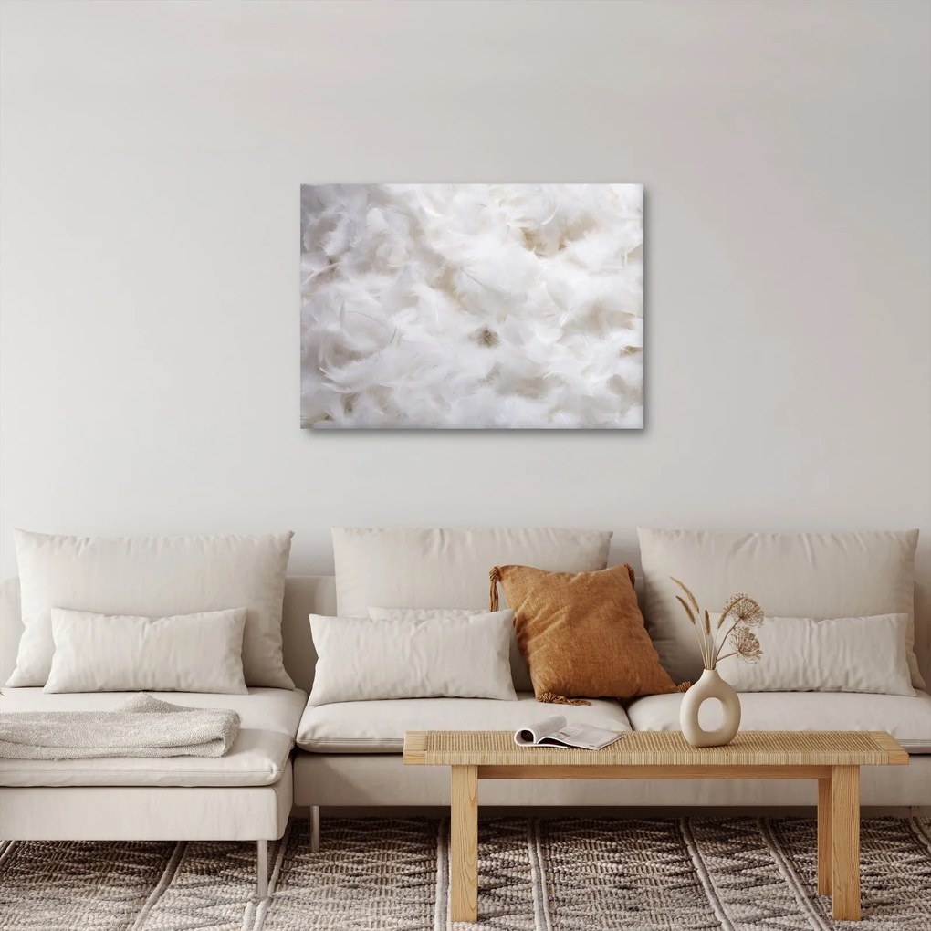 Kép - Fehér tollak (70x50 cm)