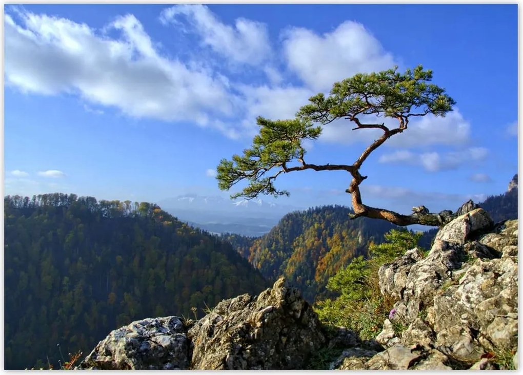 Poszterek 70x50 Tájképek Kilátások Tájképek