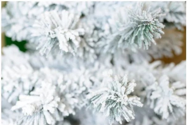 Karácsonyfa tönkön - Hegyi Lucfenyő 120cm Snowy