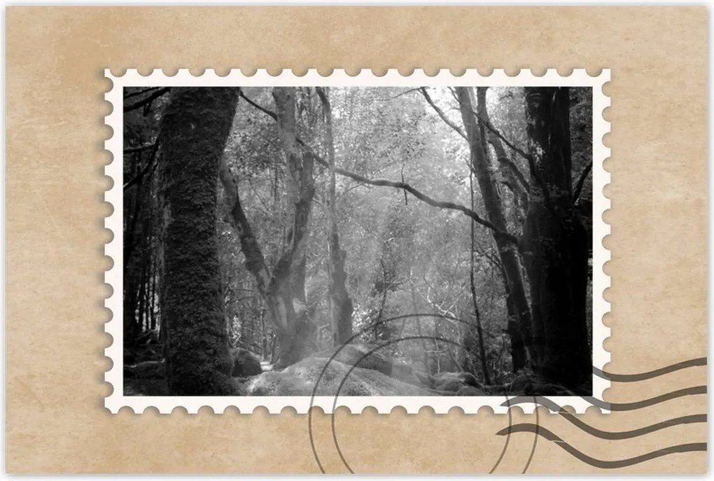 Poszterek 60x40 Rejtélyes erdő Sugárzás