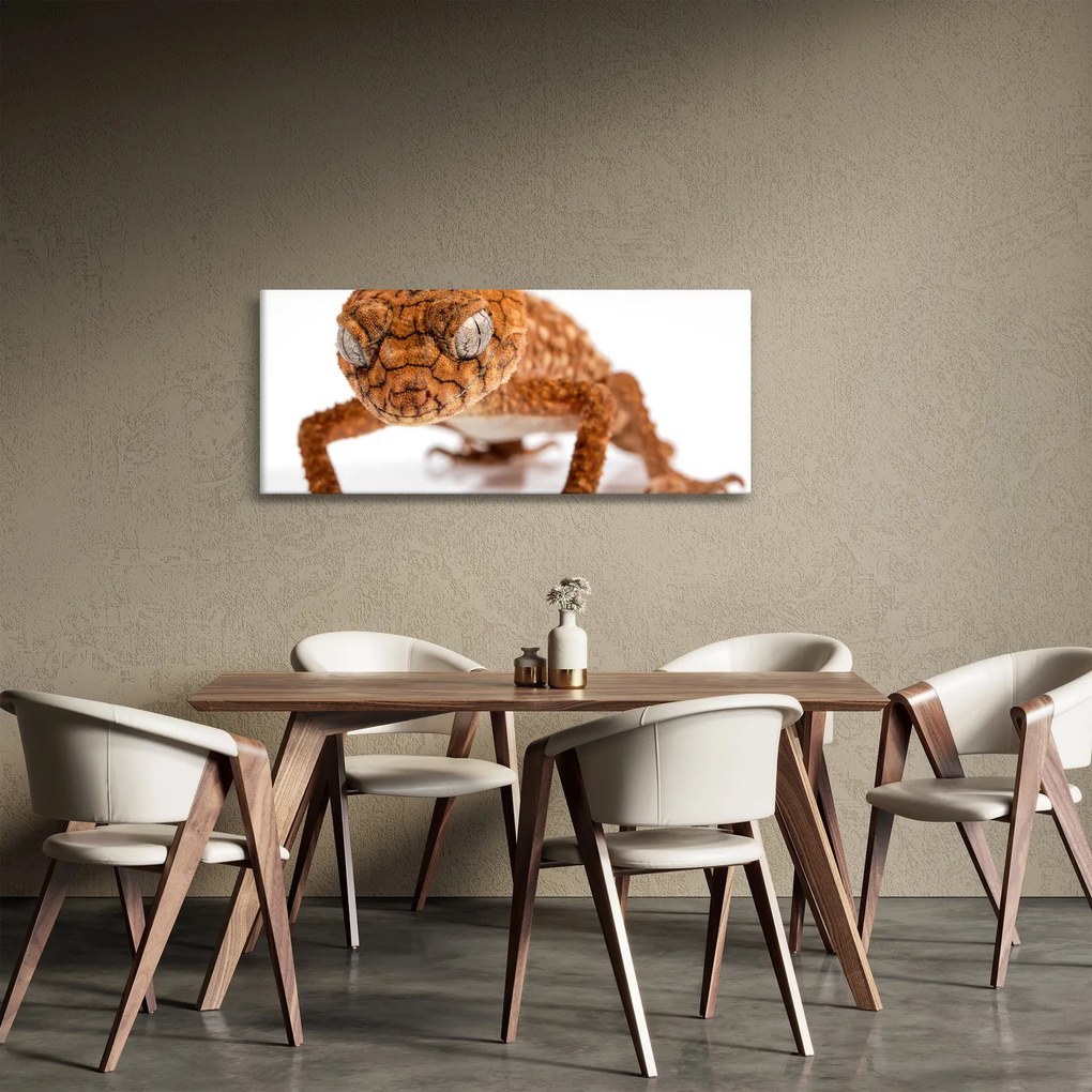 Gyík képe (120x50 cm)