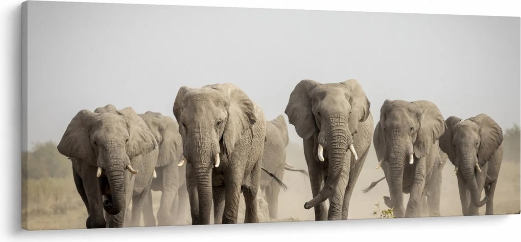 Kép - Elefántcsorda (120x50 cm)