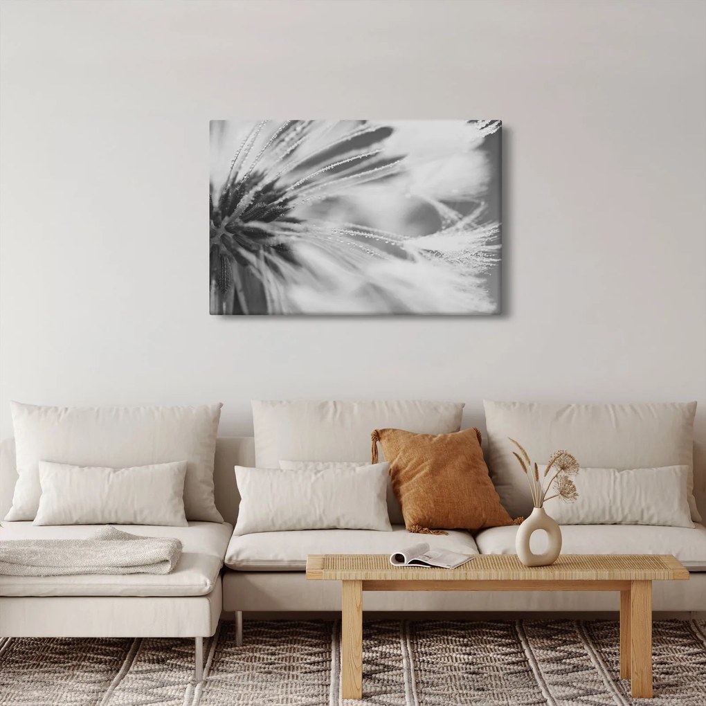 Kép - Pitypang (90x60 cm)