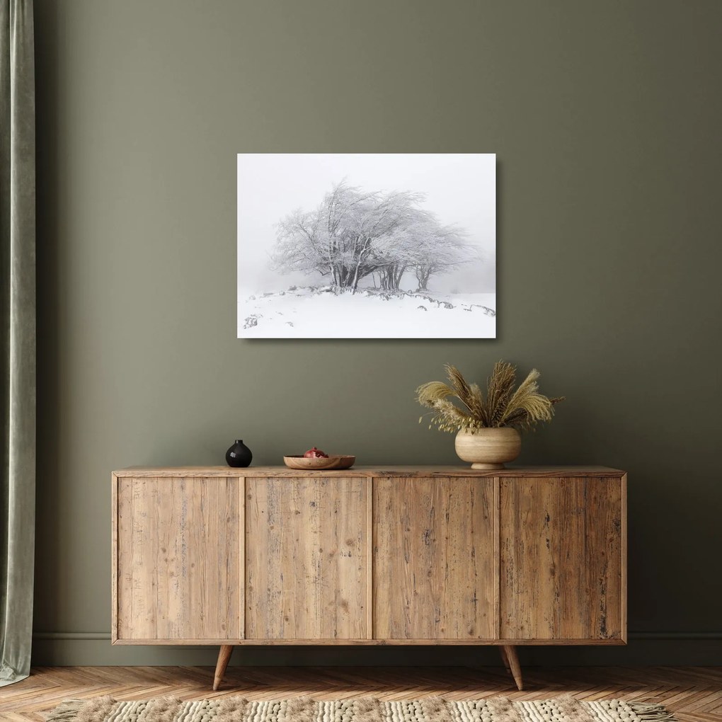 Kép - fehér tél (üvegen) (70x50 cm)