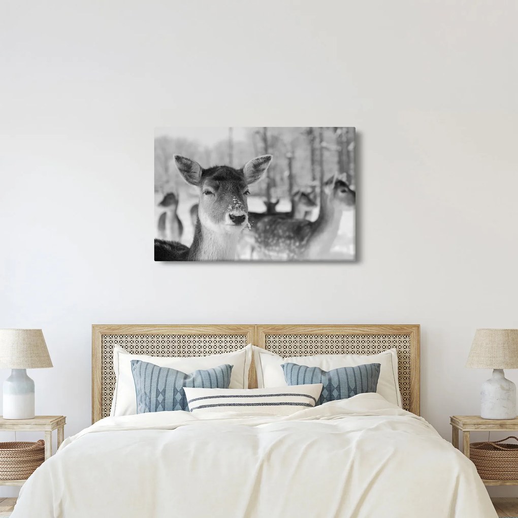 Kép - Szarvas, fekete, fehér (90x60 cm)