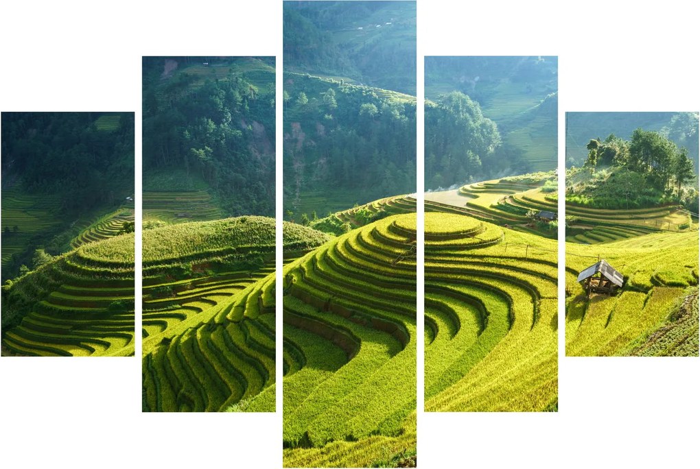 Kép - Rice Terraces koncert (150x105 cm)