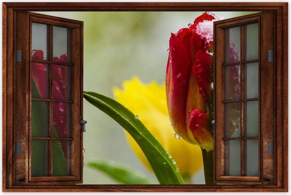 Poszterek 90x60 Tulipánok Virágok