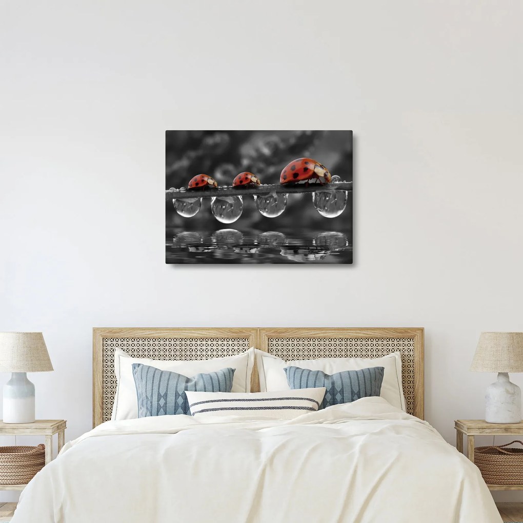 Kép - Napraforgó, fekete-fehér (70x50 cm)