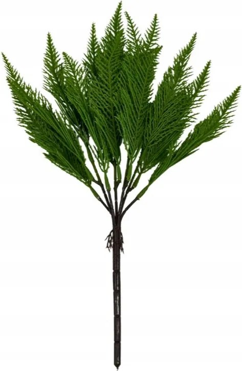 Páfrány Csokor 43 CM