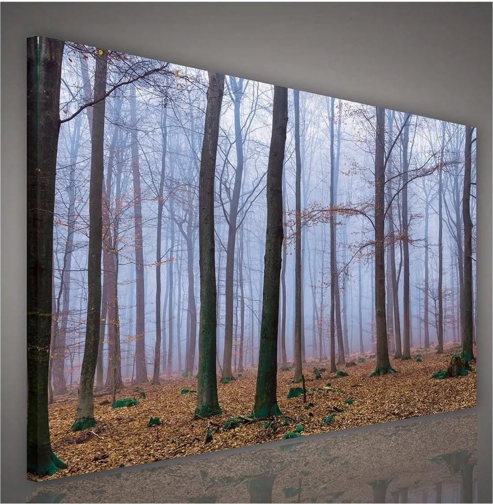 Vászonkép 100x75 Erdő köd ősz tél fák csend nyugalom természet magány
