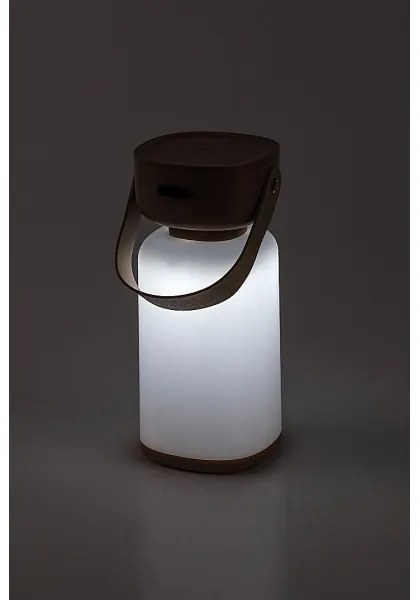 Rabalux 77143- LED Dimmelhető újratölthető érintős kültéri asztali lámpa FUNES LED/3W/5V IP44 barna