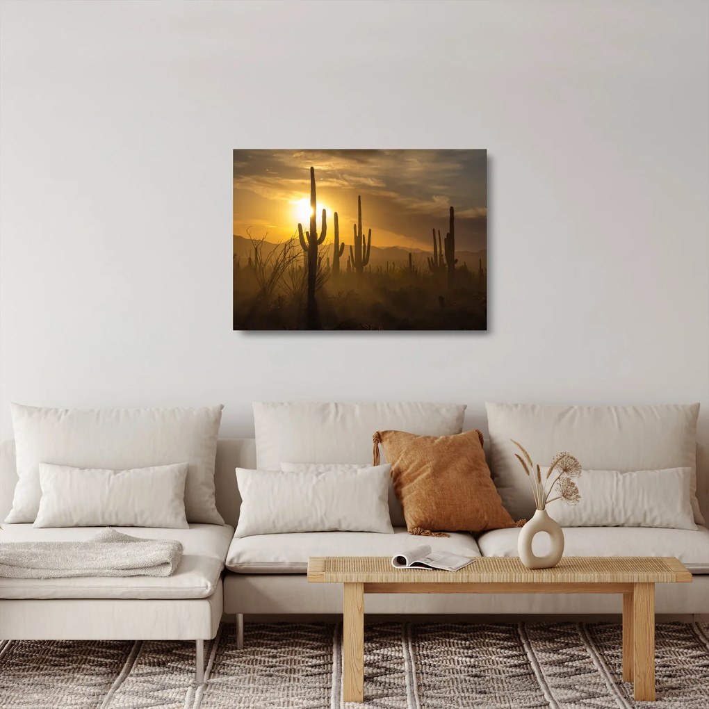 Üveg kép - Saguaro kaktuszok (70x50 cm)