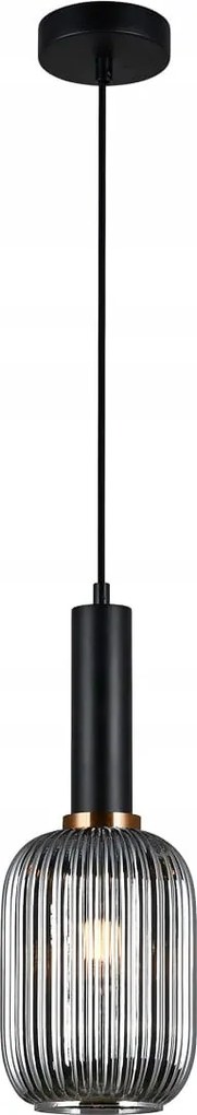 Italux Antiola Függőlámpa Modern Fekete Ø15cm E27 Állítható