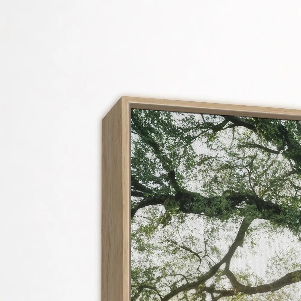 Kép 150x60 cm Tree in the Sun