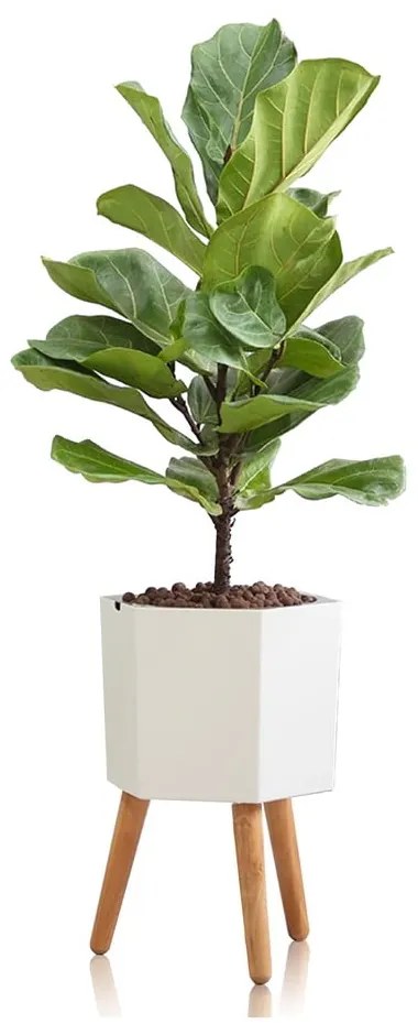 Calla fehér önöntözős virágtartó, ø 22,8 cm - Tomasucci