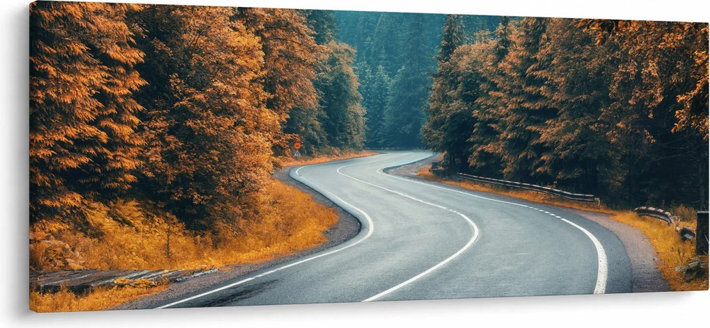 Kép - Kanyargós út (120x50 cm)
