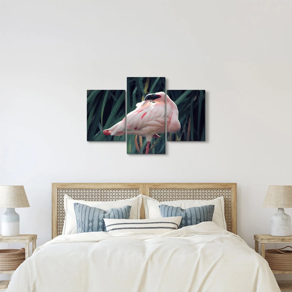 Kép - Flamingó (90x60 cm)