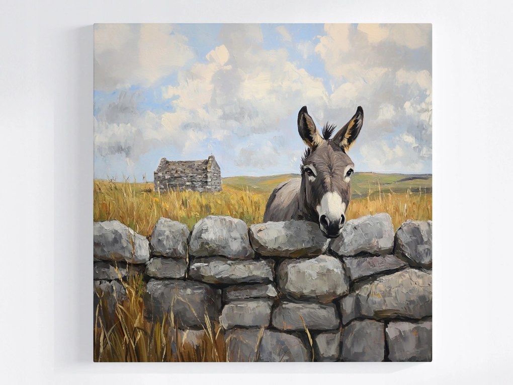 Poszter Természet Írország Fal Szamár 40x40