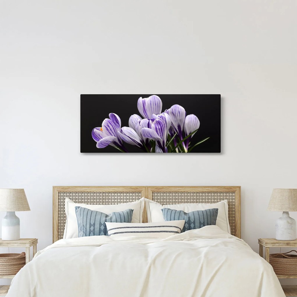 Kép - Lila krókuszok (120x50 cm)