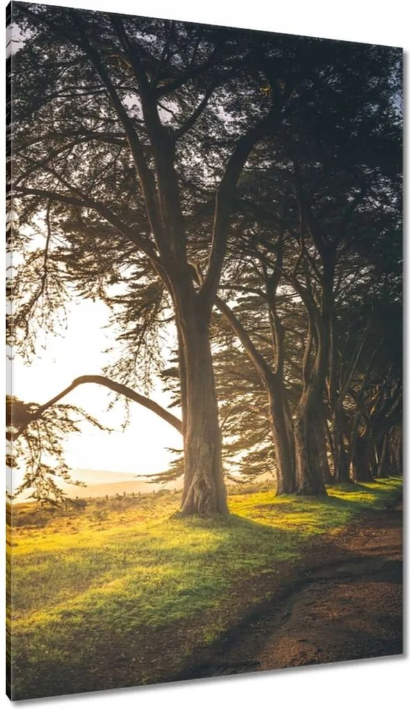 Festmények 80x120 Tájkép Látvány