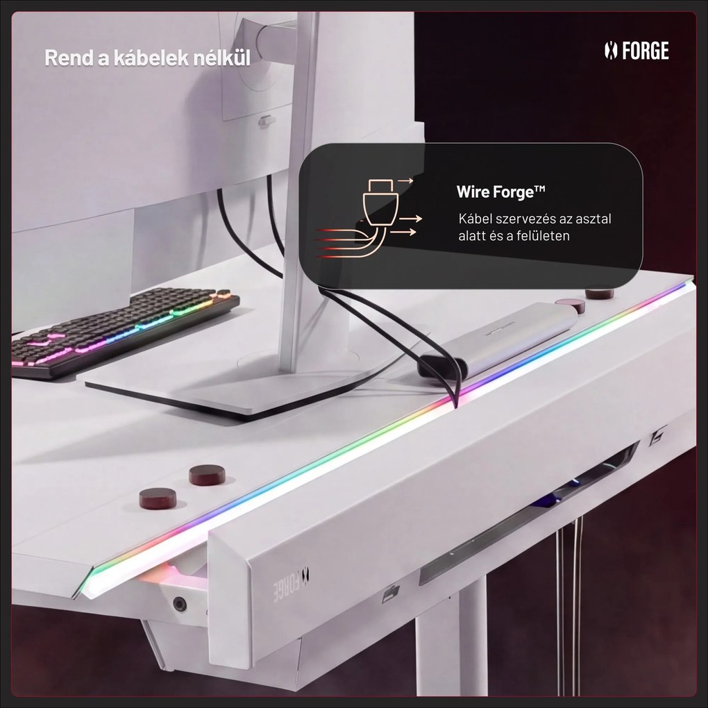 Elektromos RGB gamingasztal tartókkal, fehér, 160 cm: Diablo X-Forge 1600