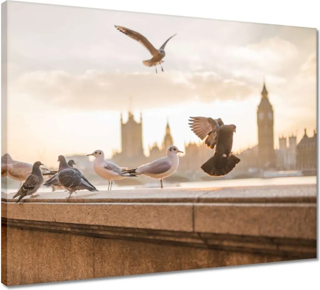 Vászonkép 50x40 Mozgás a Big Bennél